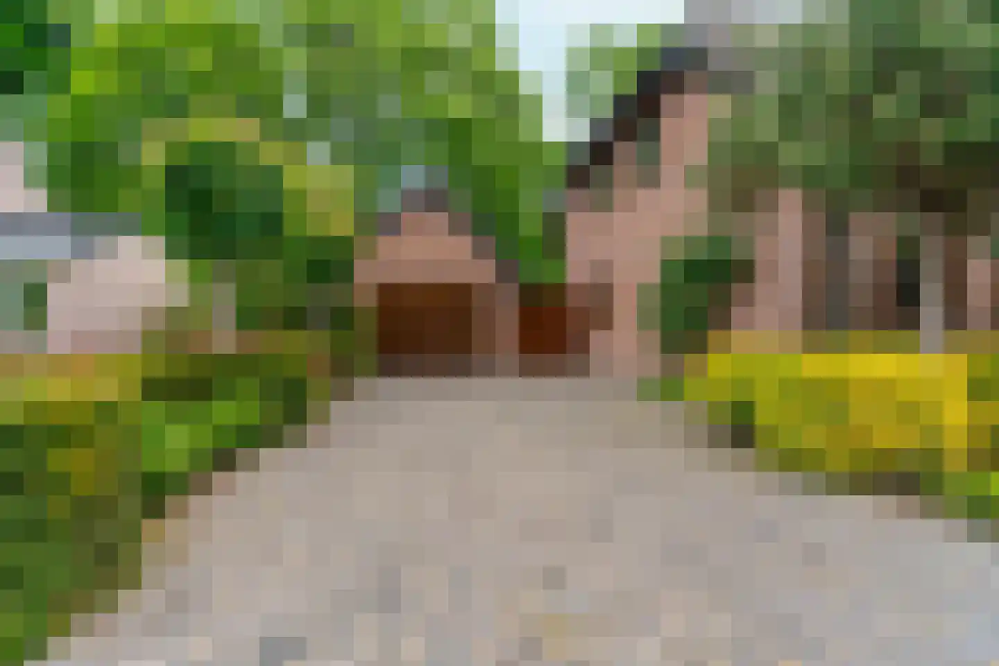 Rozemarijnhof 6 Schijndel thumbnail 71