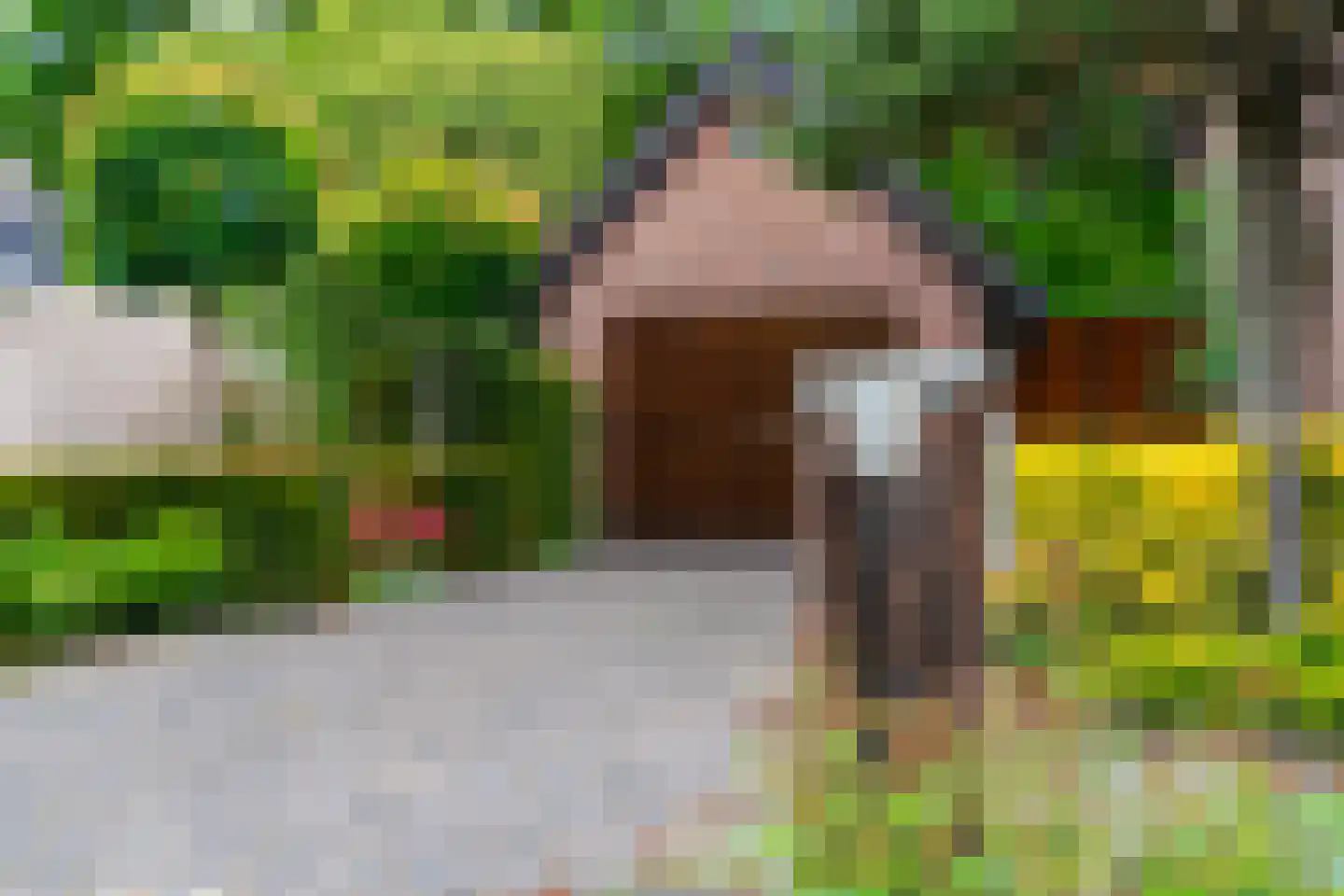 Rozemarijnhof 6 Schijndel thumbnail 72