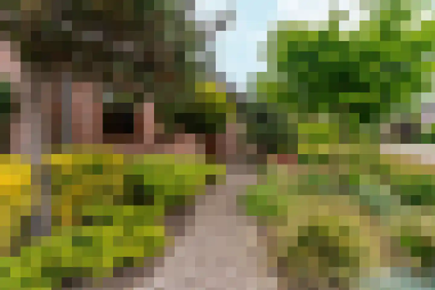 Rozemarijnhof 6 Schijndel thumbnail 73