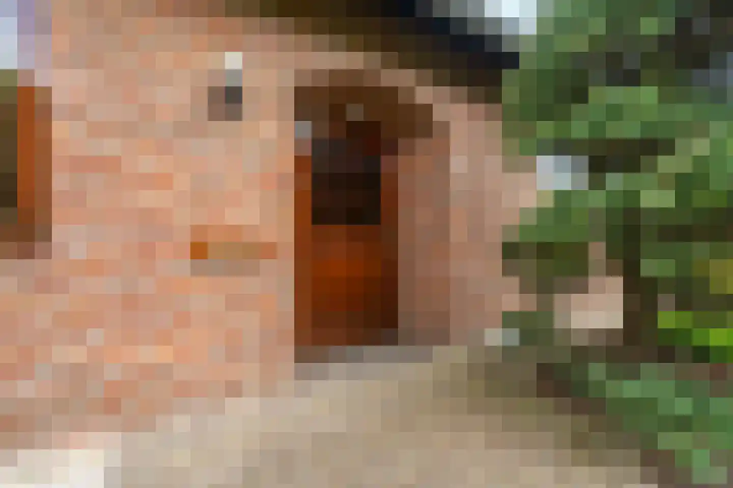 Rozemarijnhof 6 Schijndel thumbnail 74
