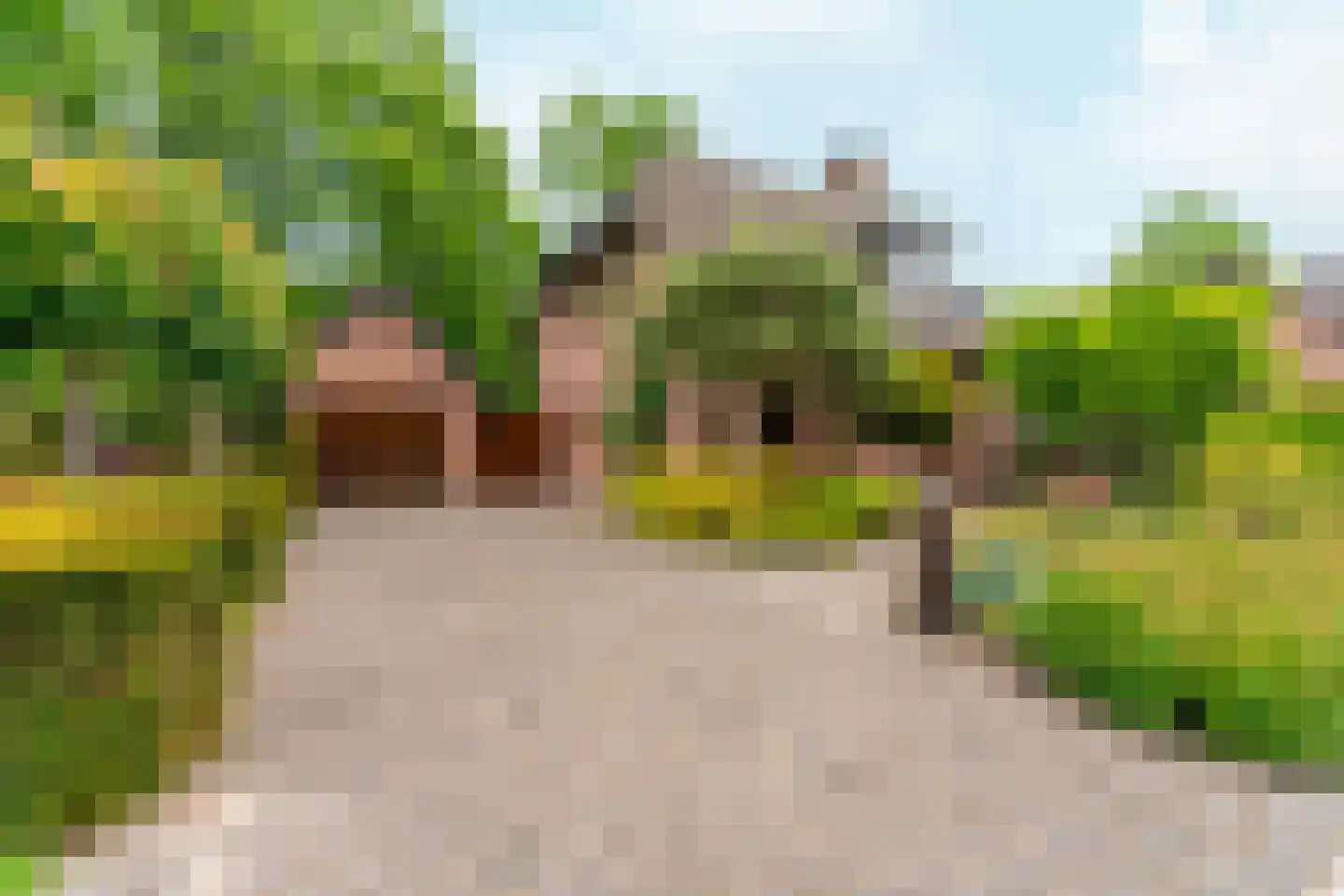 Rozemarijnhof 6 Schijndel thumbnail 75