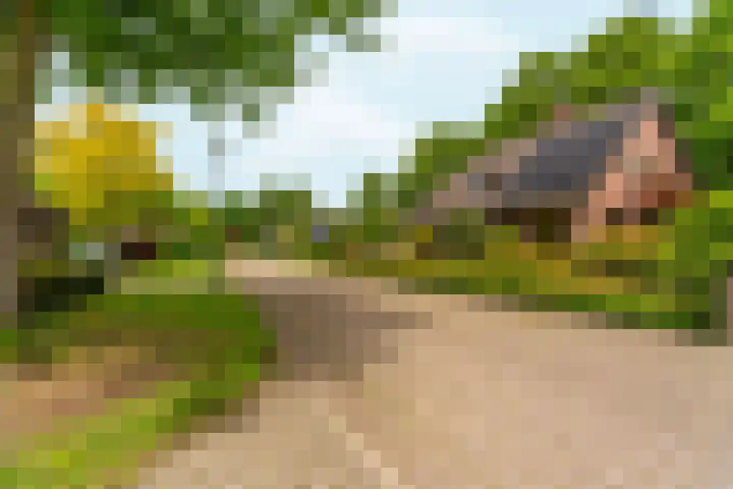 Rozemarijnhof 6 Schijndel thumbnail 76