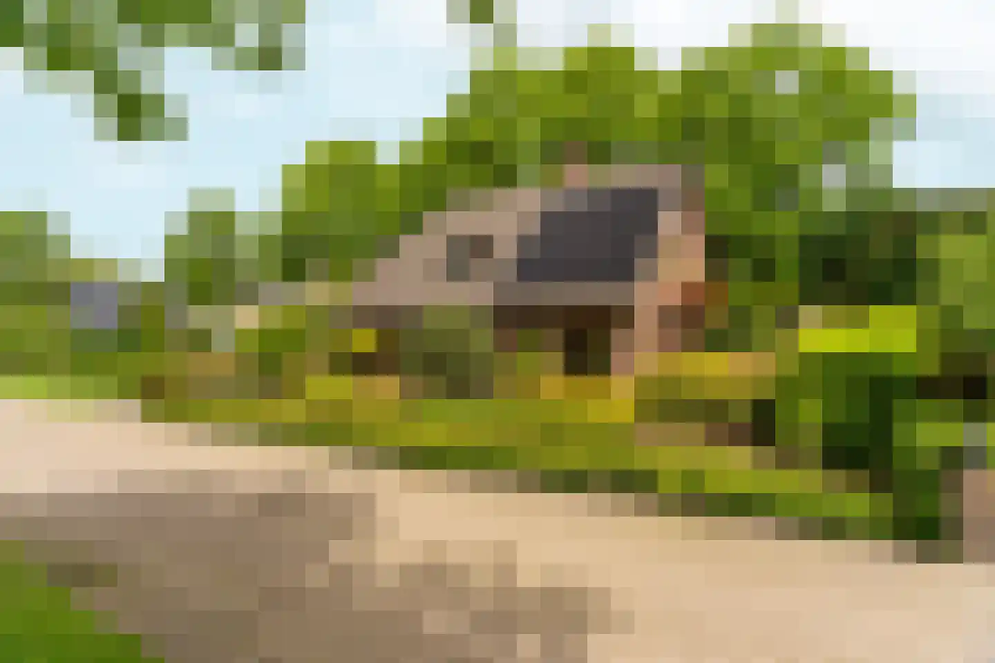 Rozemarijnhof 6 Schijndel thumbnail 77