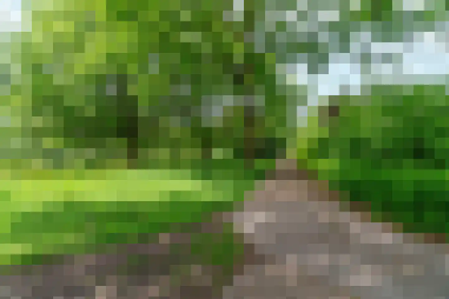 Rozemarijnhof 6 Schijndel thumbnail 79