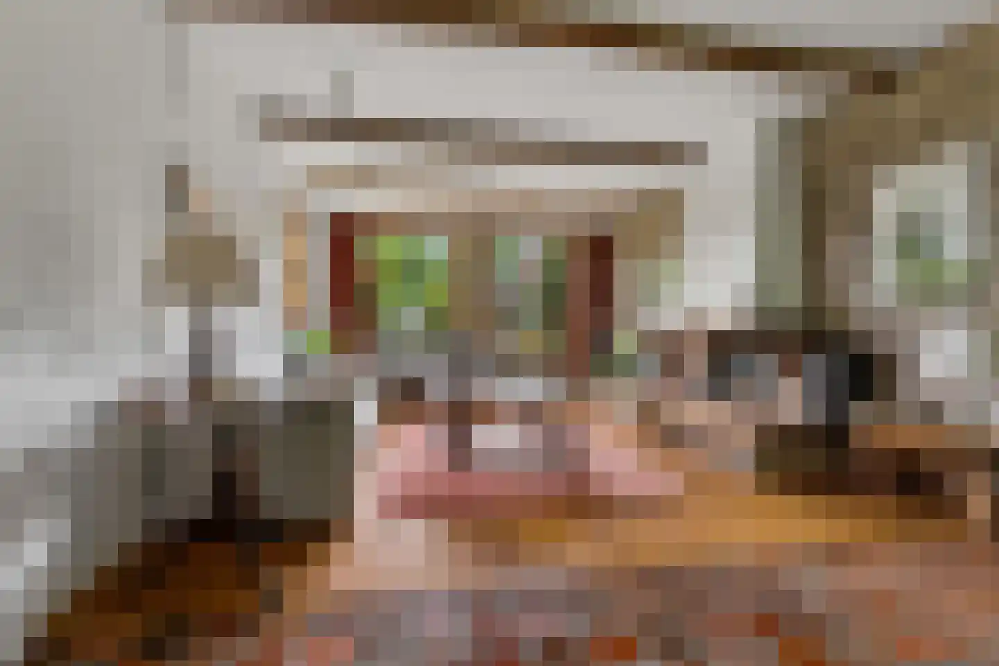 Rozemarijnhof 6 Schijndel thumbnail 8