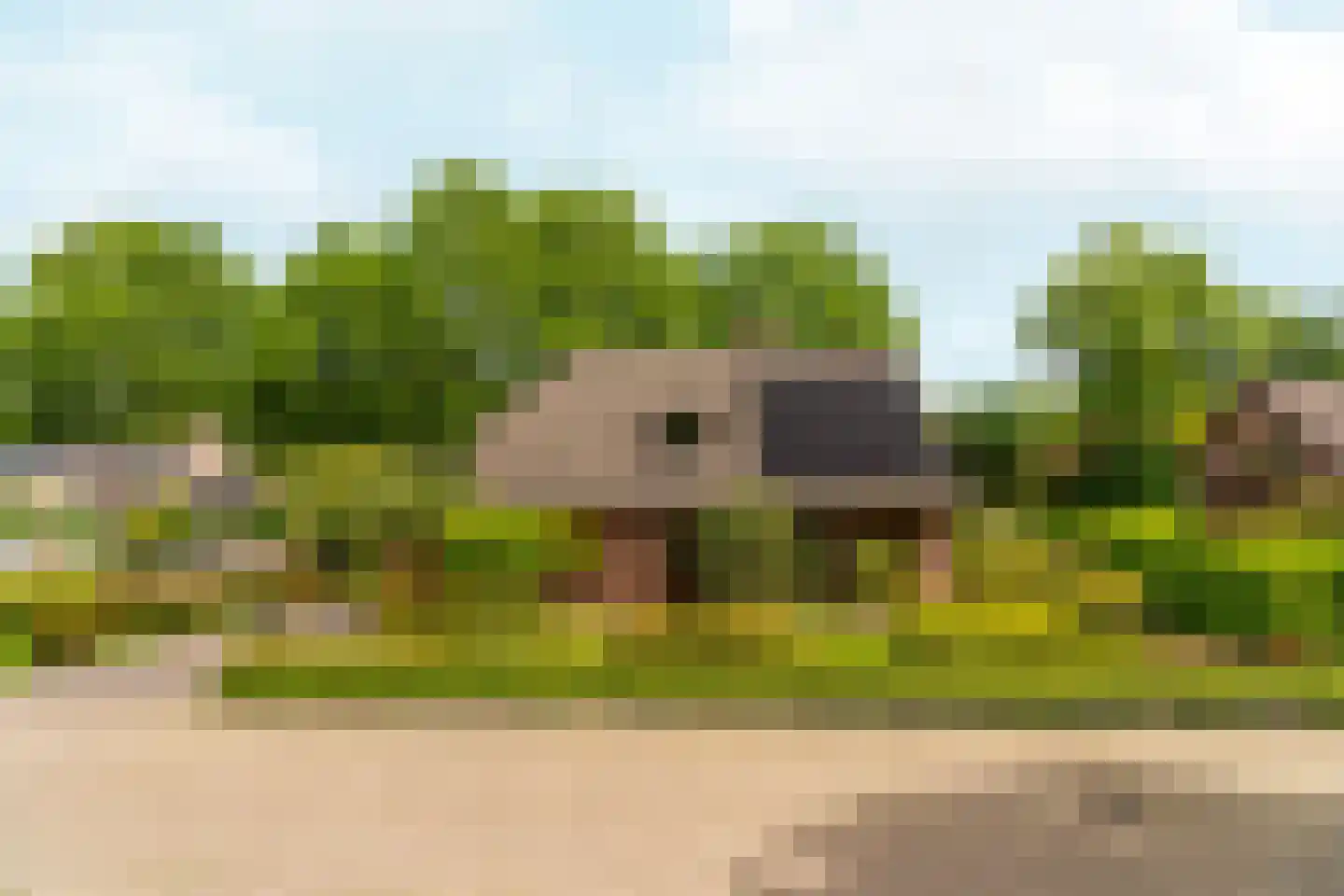 Rozemarijnhof 6 Schijndel thumbnail 81