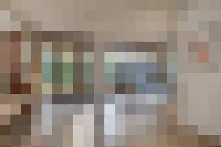 Rozemarijnlaan 11 Sint-Michielsgestel thumbnail 14