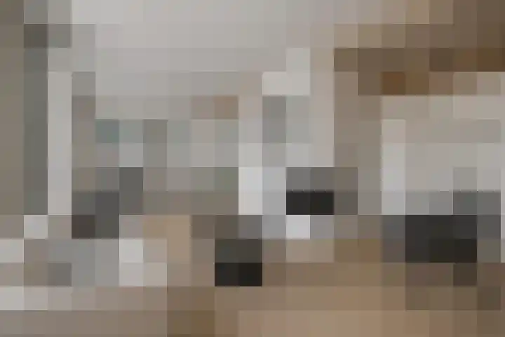Rozemarijnlaan 11 Sint-Michielsgestel thumbnail 5