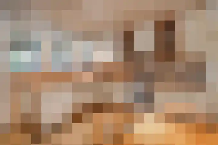Rozemarijnlaan 11 Sint-Michielsgestel thumbnail 8