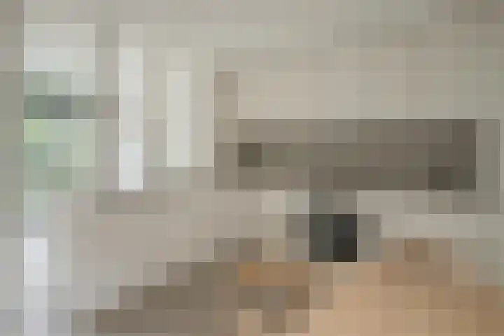 Rozemarijnlaan 11 Sint-Michielsgestel thumbnail 9