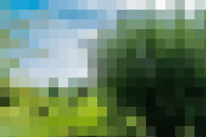 Rozemarijnlaan 3 Amstelveen thumbnail 30