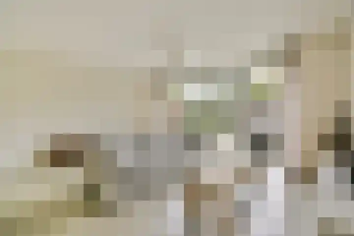 Rozemarijnlaan 3 Amstelveen thumbnail 5