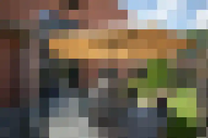 Rozemarijnsingel 15 Wierden thumbnail 10