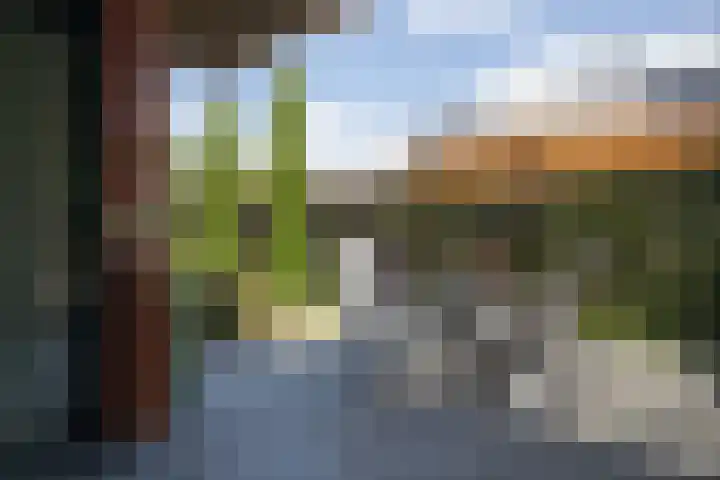 Rozemarijnsingel 15 Wierden thumbnail 11