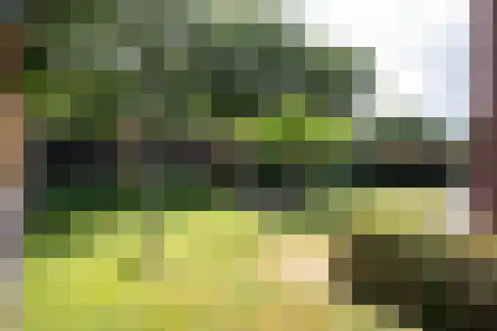 Rozemarijnsingel 15 Wierden thumbnail 13