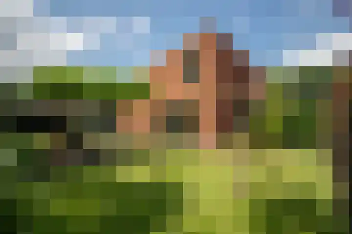 Rozemarijnsingel 15 Wierden thumbnail 14