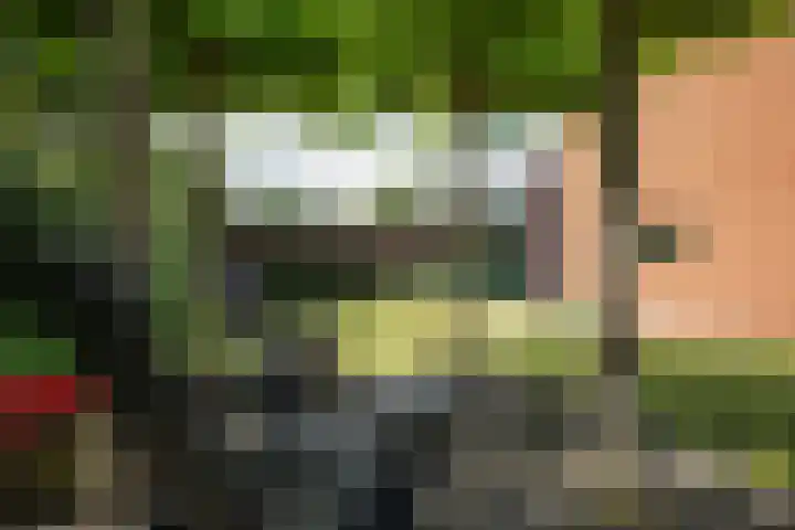 Rozemarijnsingel 15 Wierden thumbnail 15