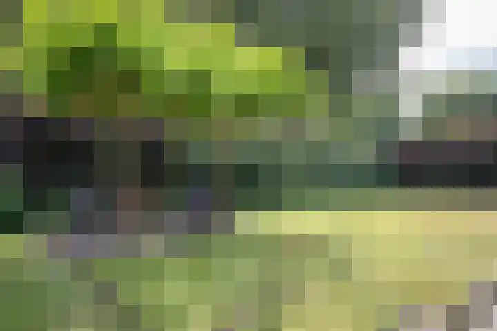 Rozemarijnsingel 15 Wierden thumbnail 16