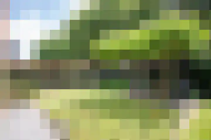 Rozemarijnsingel 15 Wierden thumbnail 17