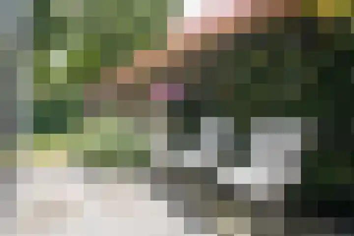 Rozemarijnsingel 15 Wierden thumbnail 18