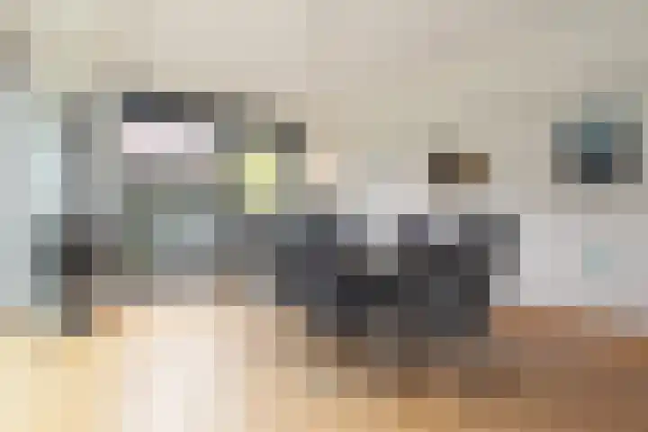 Rozemarijnsingel 15 Wierden thumbnail 33