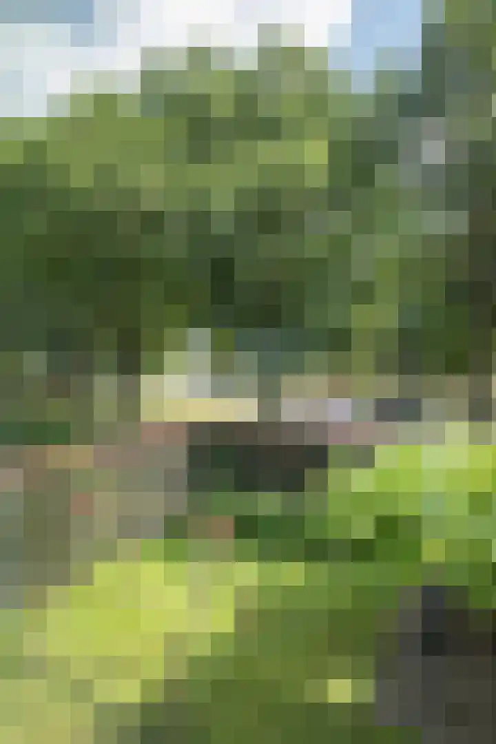 Rozemarijnsingel 15 Wierden thumbnail 55