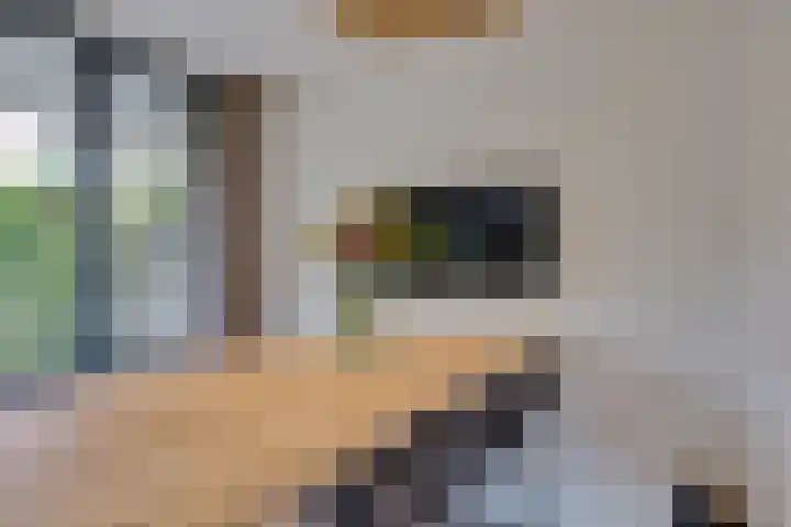 Rozemarijnsingel 15 Wierden thumbnail 63