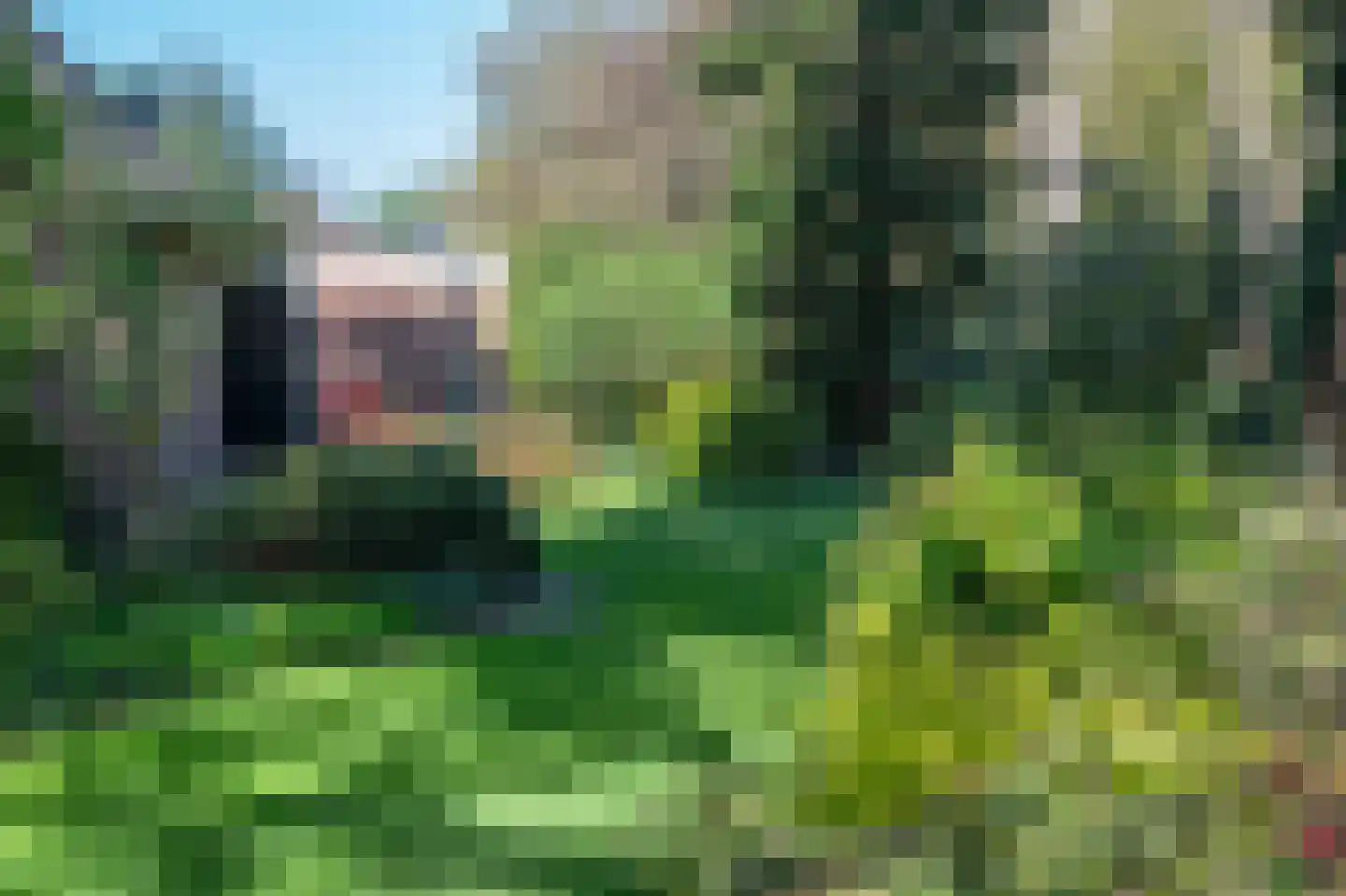 Rozemarijnsingel 15 Wierden thumbnail 65