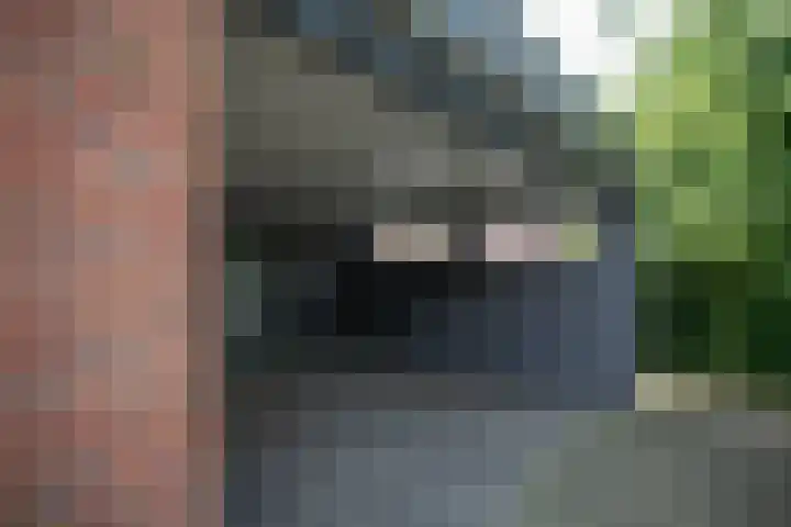 Rozemarijnsingel 15 Wierden thumbnail 66