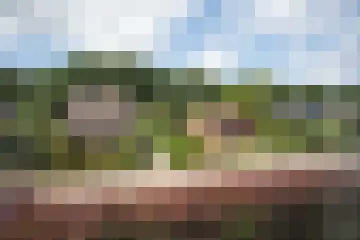 Rozemarijnsingel 15 Wierden thumbnail 68