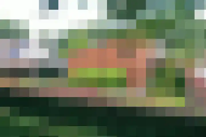 Rozemarijnsingel 15 Wierden thumbnail 69