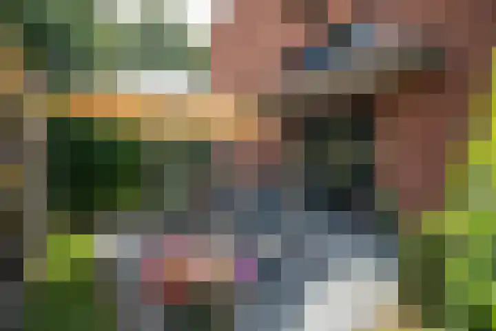 Rozemarijnsingel 15 Wierden thumbnail 7