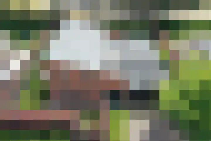 Rozemarijnsingel 15 Wierden thumbnail 8