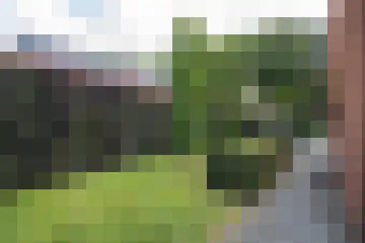 Rozemarijnsingel 15 Wierden thumbnail 9