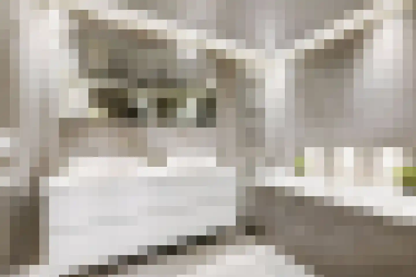 Rozemarijnsingel 23 Utrecht thumbnail 24