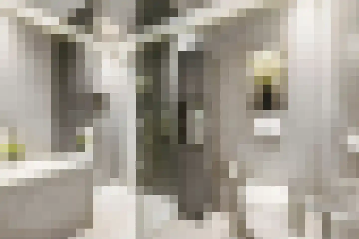 Rozemarijnsingel 23 Utrecht thumbnail 25
