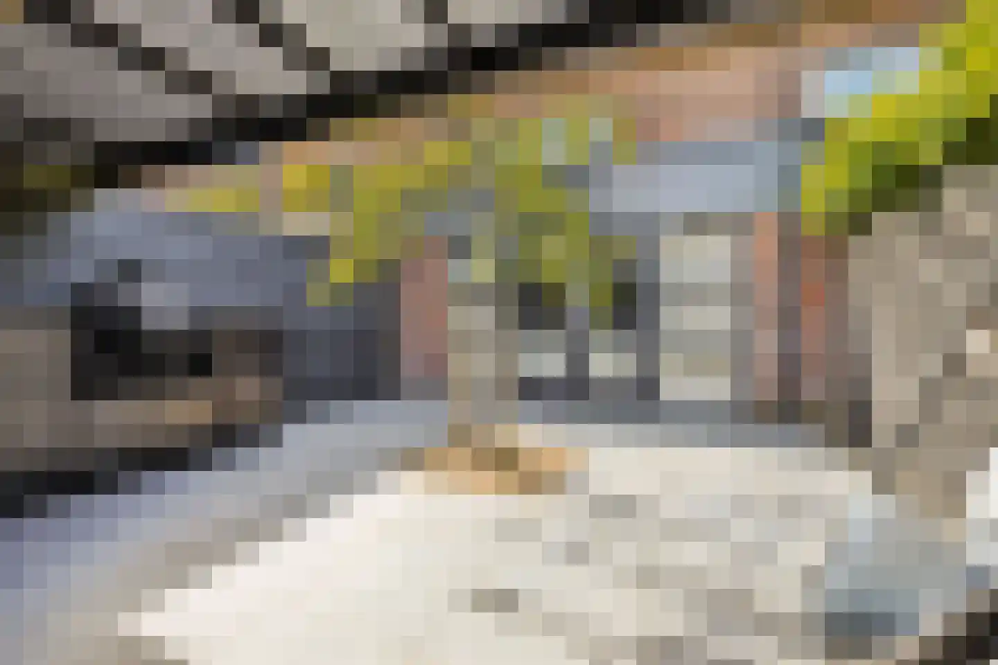 Rozemarijnsingel 23 Utrecht thumbnail 36