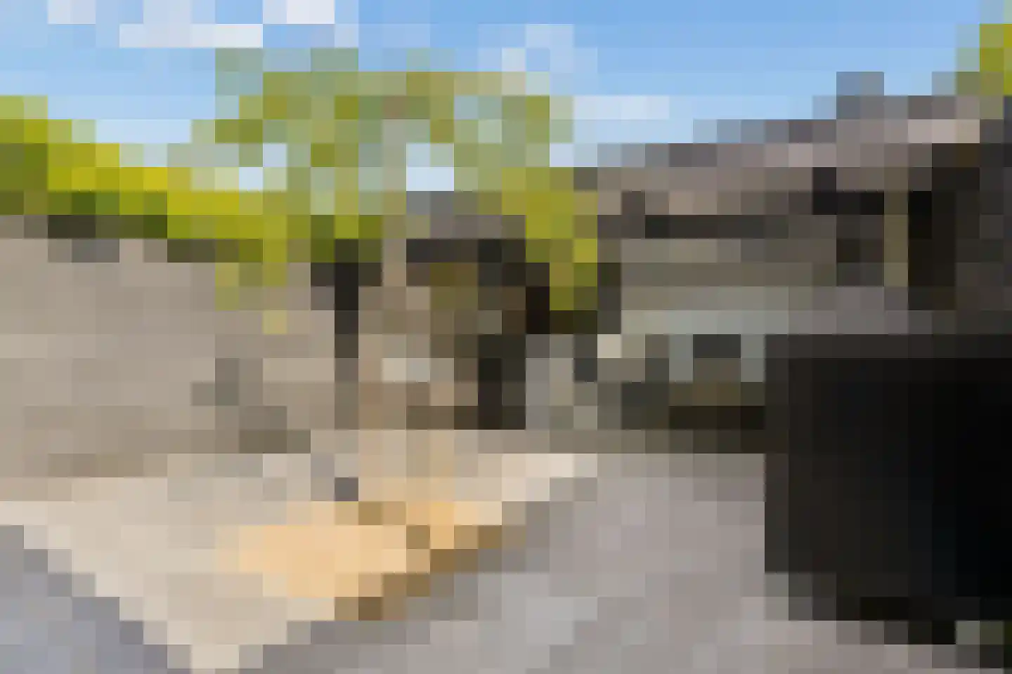 Rozemarijnsingel 23 Utrecht thumbnail 39