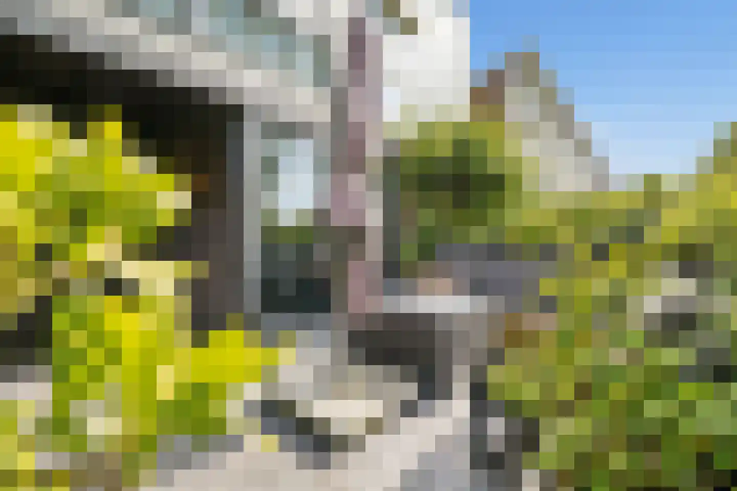 Rozemarijnsingel 23 Utrecht thumbnail 4