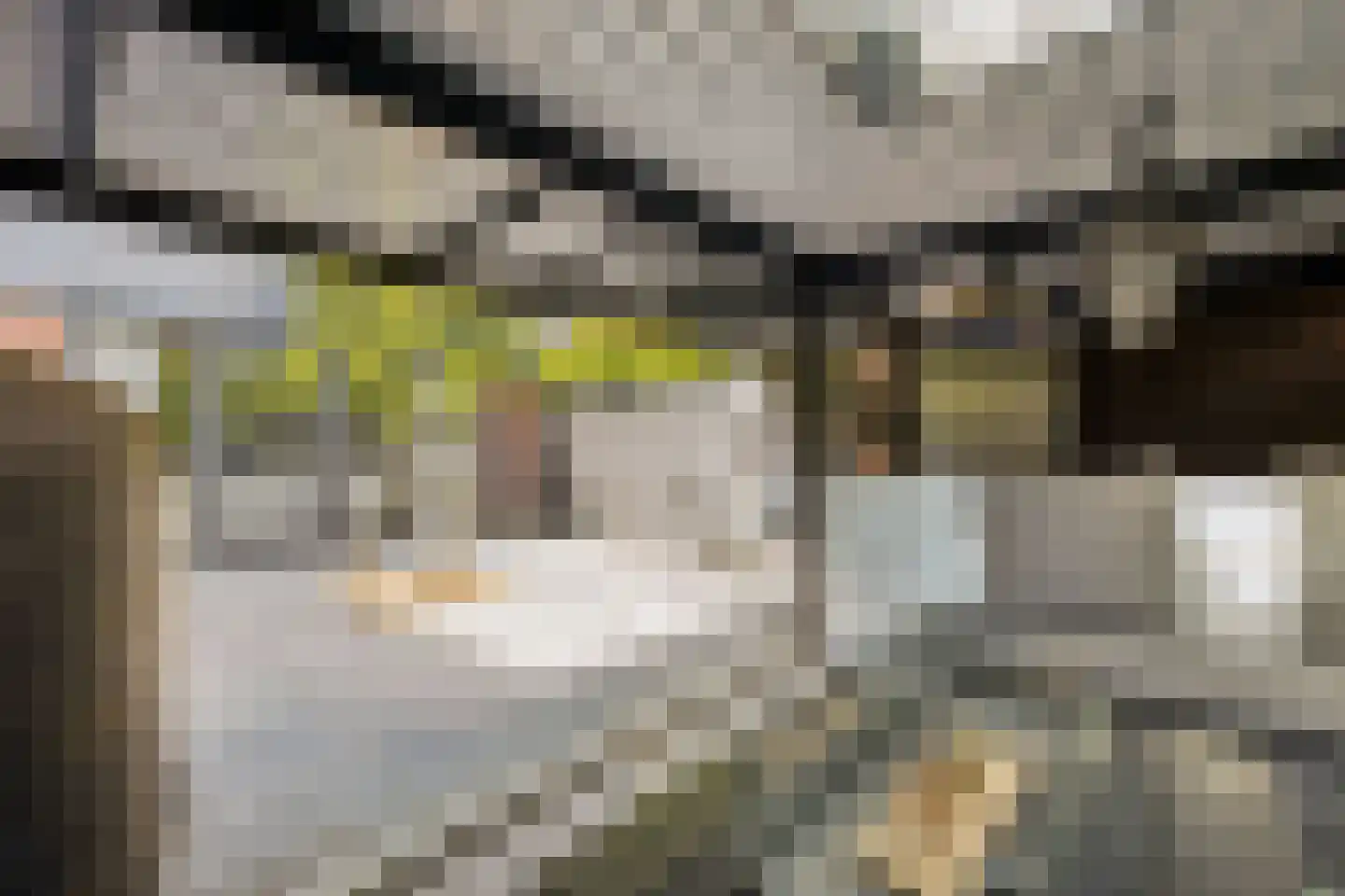Rozemarijnsingel 23 Utrecht thumbnail 41