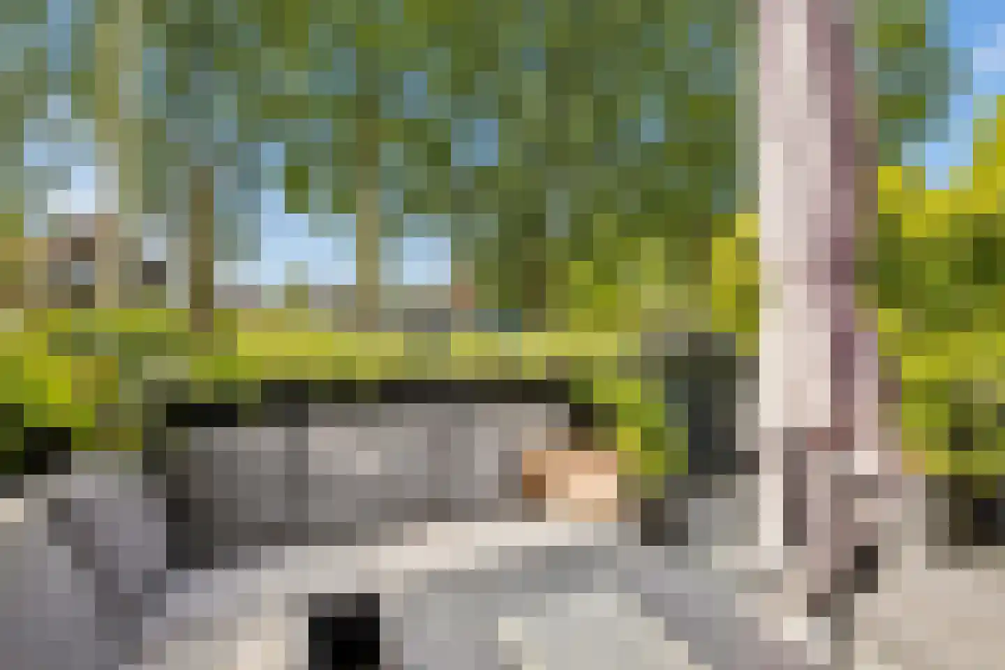 Rozemarijnsingel 23 Utrecht thumbnail 44