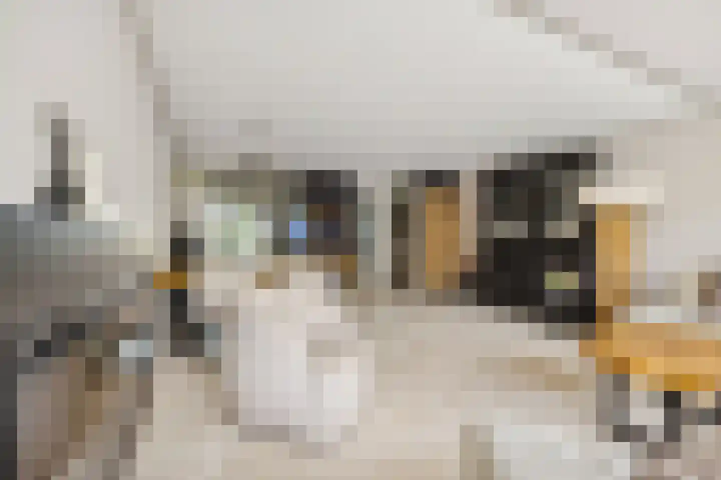 Rozemarijnsingel 23 Utrecht thumbnail 5