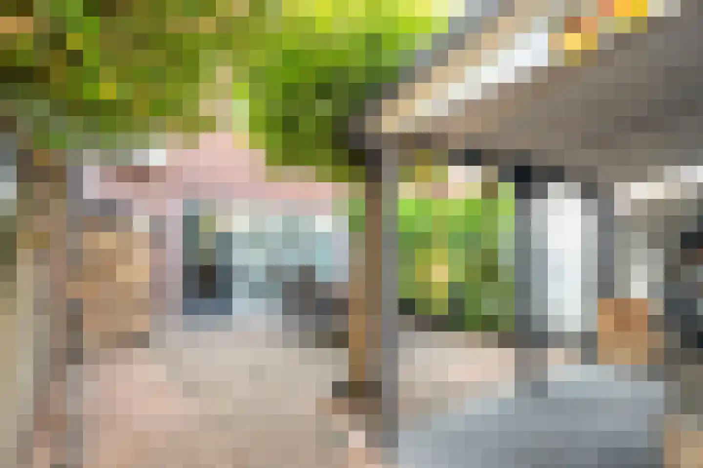 Rozemarijnsingel 39 Utrecht thumbnail 31