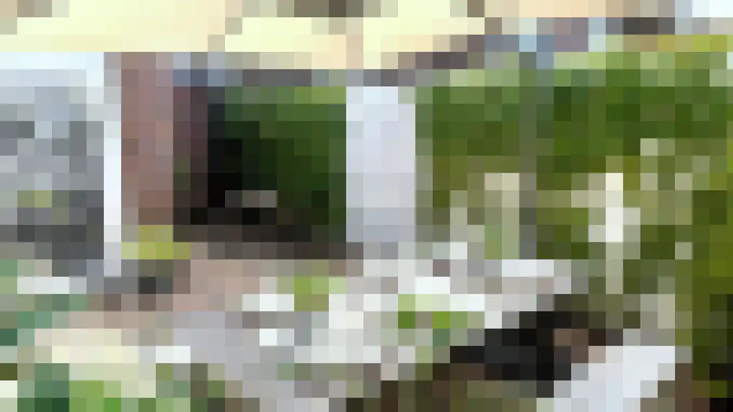 Rozemarijnsingel 49 Utrecht thumbnail 33