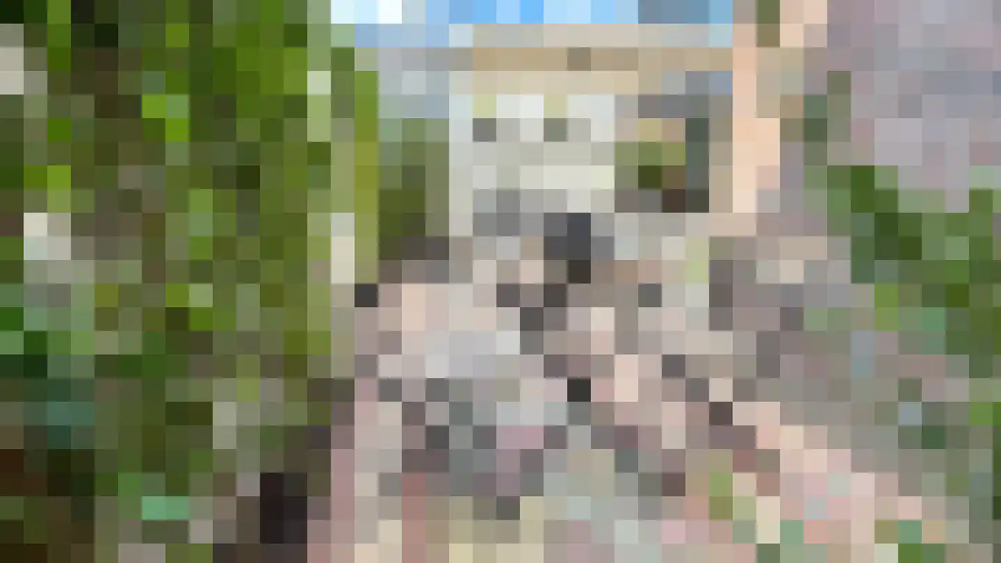 Rozemarijnsingel 49 Utrecht thumbnail 34