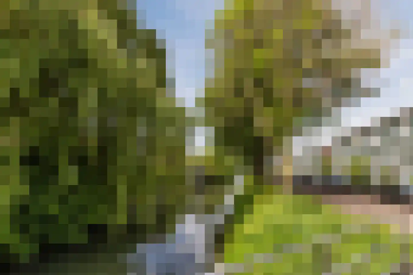 Rozemarijnsingel 49 Utrecht thumbnail 38
