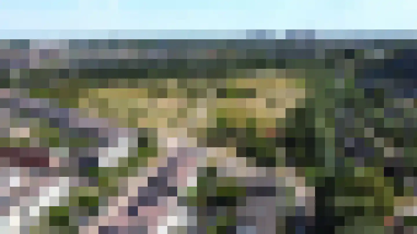 Rozemarijnsingel 49 Utrecht thumbnail 41