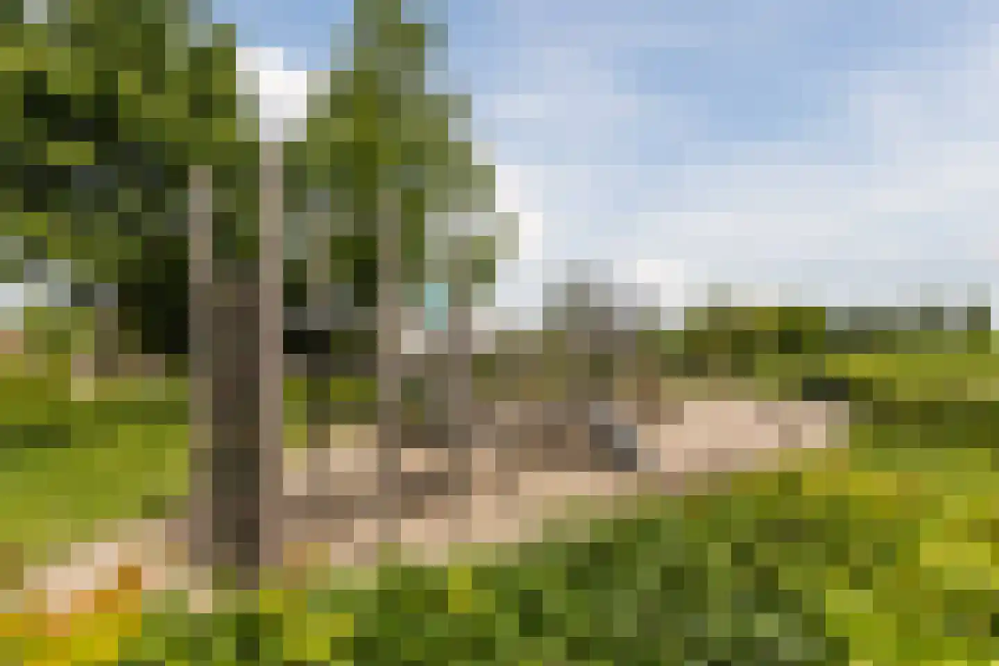 Rozemarijnsingel 49 Utrecht thumbnail 44