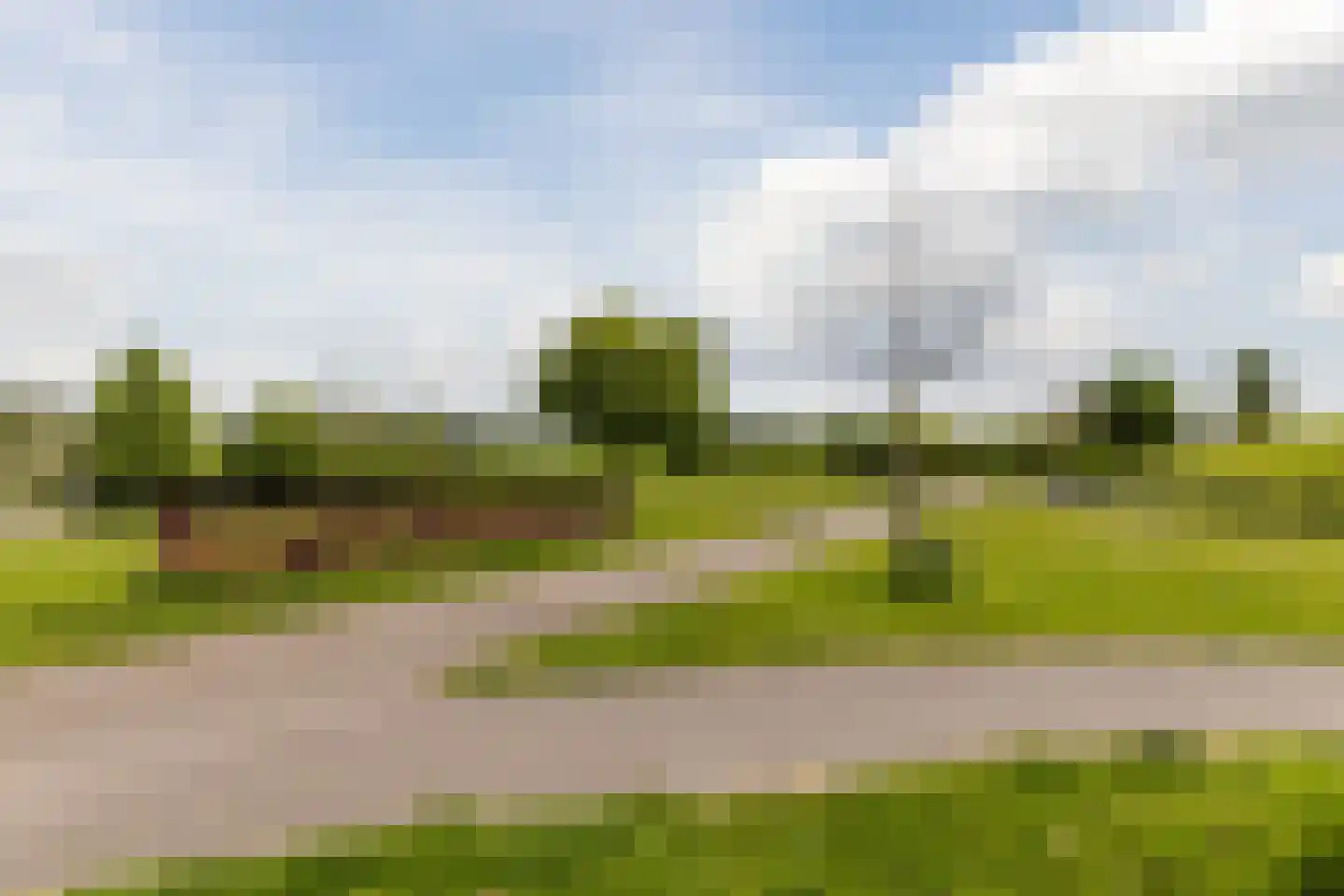 Rozemarijnsingel 49 Utrecht thumbnail 45