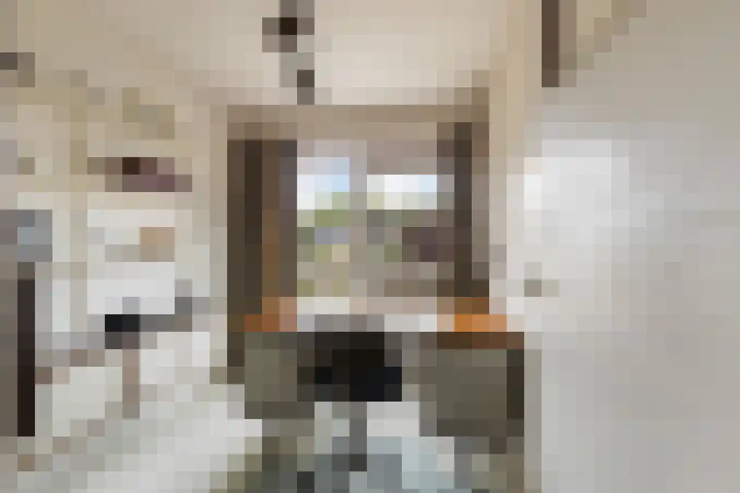 Rozemarijnsingel 5 Barendrecht thumbnail 30